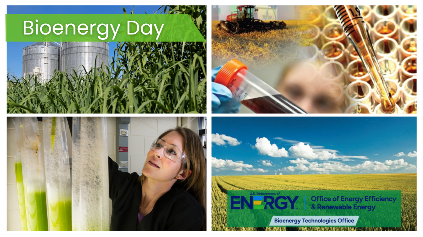 Bioenergy Day Collage